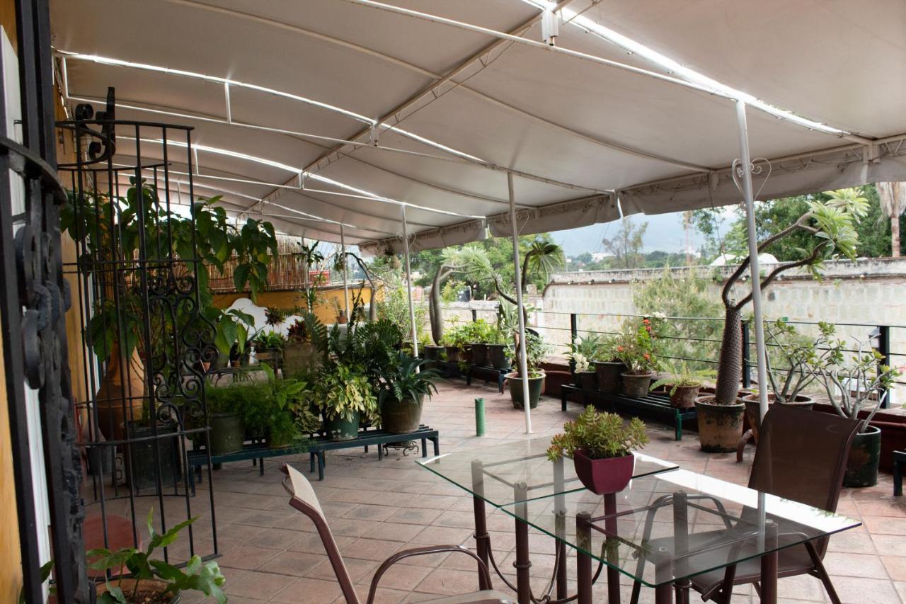 Oaxaca Hotel Boutique Casa Catrina מראה חיצוני תמונה